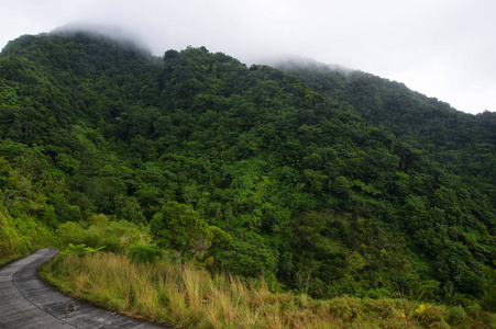 从 Penville 到朴茨茅斯，多米尼克，小安山道路