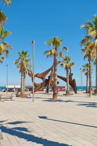 巴塞罗那海滩