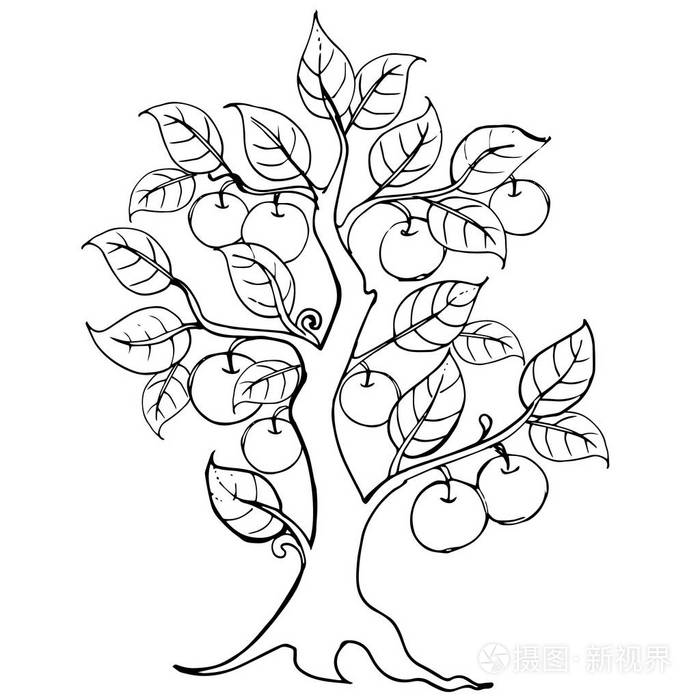 手画棵苹果树矢量图稿插图的邀请元素的品牌书徽标
