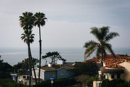 从日落悬崖上看到的拉德拉街上的房子和棕榈树