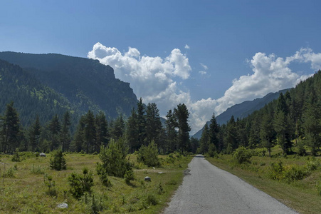 雄伟的山顶上长满了针叶森林，山谷，林间空地和道路，里拉山