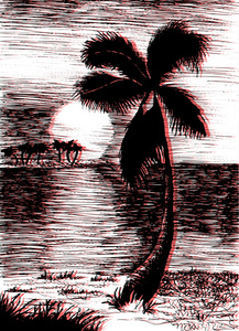 岛上的棕榈树