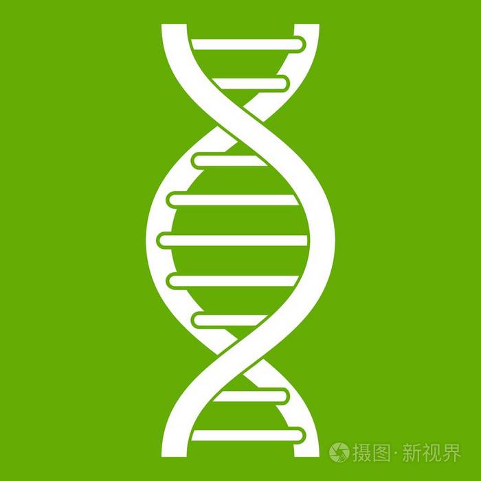dna 螺旋图标绿色