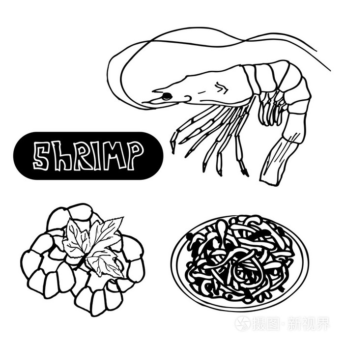 set seafood with shrimp, spaghetti with shrimp .