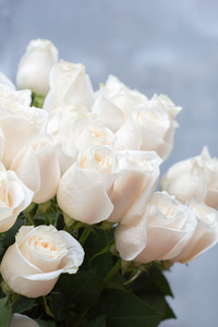 作为花卉背景的白玫瑰