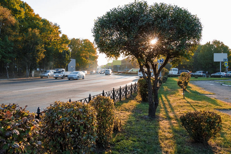 十字路口的道路