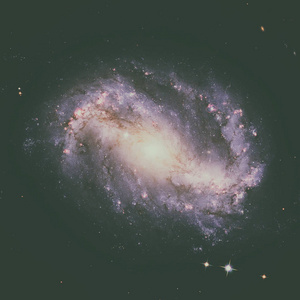 Ngc 6217 是小熊的螺旋星系