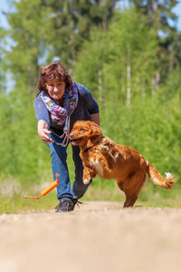 女人玩收费猎犬新斯科舍省鸭图片