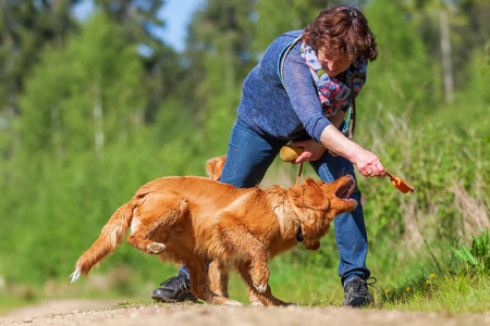 女人玩收费猎犬新斯科舍省鸭图片