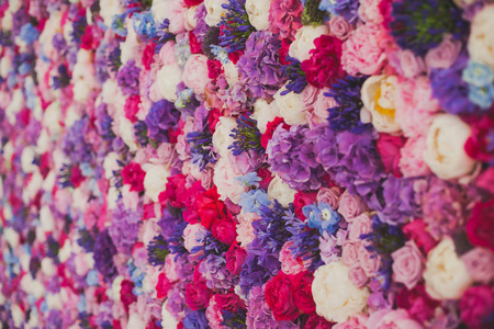 美丽的红紫色紫色花 玫瑰 郁金香 新闻墙 背景墙