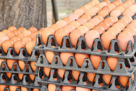 鸡蛋在市场