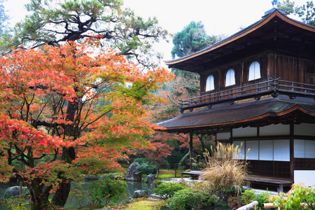 日本花园在银阁寺