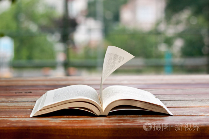 在公园里看桌子上的一本书