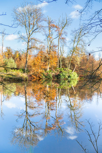 秋季森林与水中的镜像