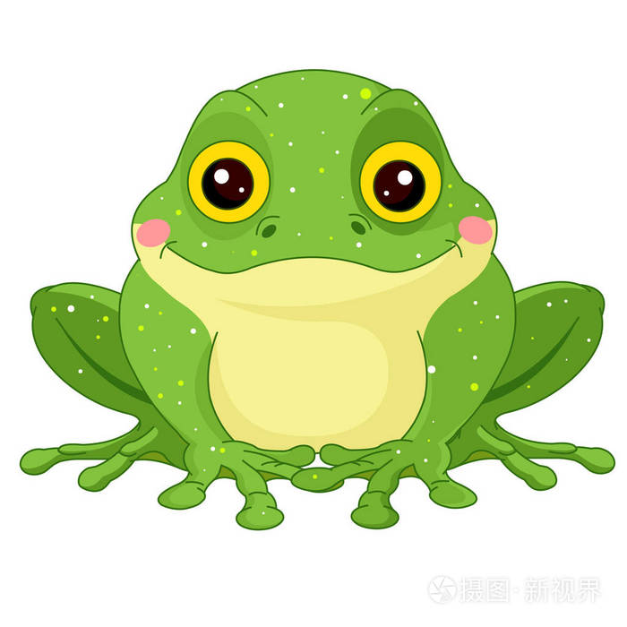 可爱的绿色蟾蜍