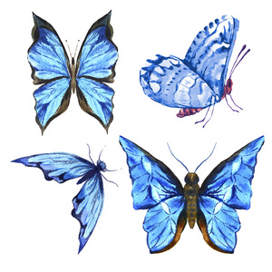 一组美丽的蓝色，五颜六色的夏天水彩蝶
