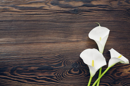 白色的马蹄莲花在木制的背景下，顶视图。文本为空的空间
