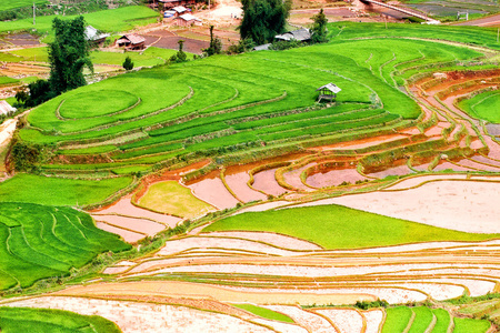 稻田上的梯田和水的木仓柴，Yenbai，越南。稻田准备在西北 Vietnam.Vietnam 风景收获