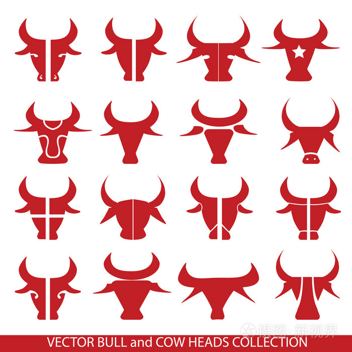 公牛头部矢量集. 收集14头公牛和牛头. 公牛