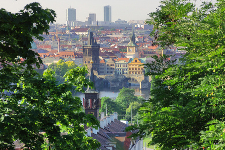 布拉格城市从山的看法