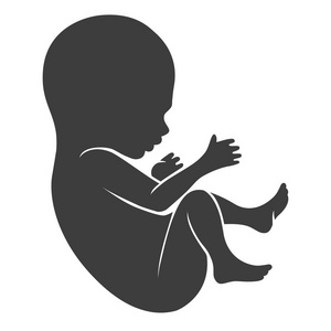 人胎儿图标