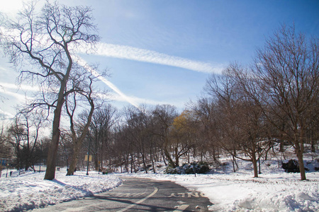 在冬季公园雪和云之间的路