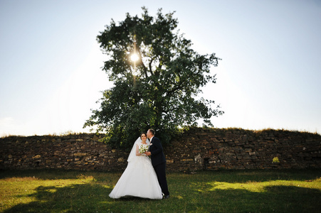 新婚夫妇在日落和石头墙的背景树上