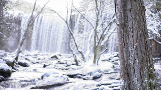 下雪的风景与河和瀑布在背景。冰冻树木