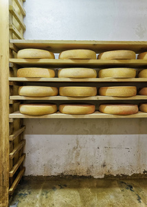 桩在成熟老化奶酪的地窖乳品弗朗什孔德
