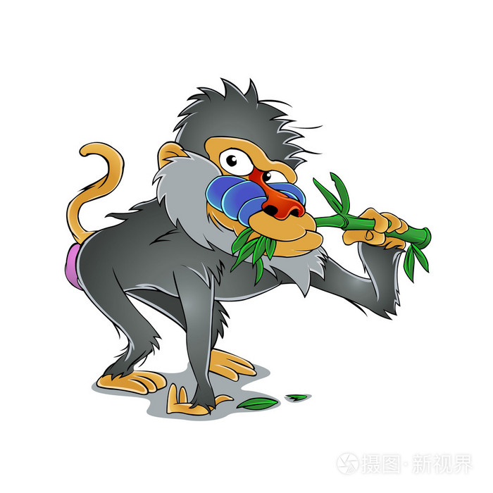 狒狒吃竹子