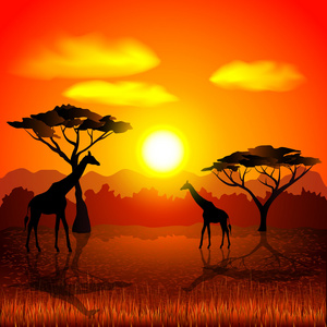 非洲大草原矢量背景的日落