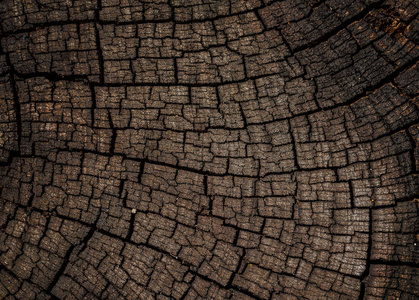 模式的自然裂纹的老木表面