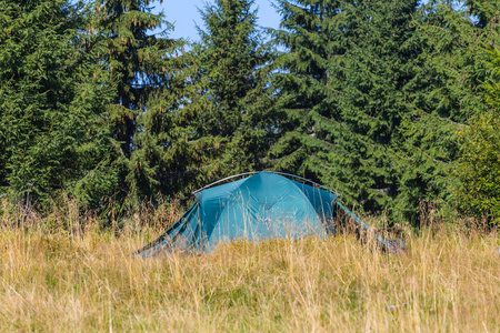 在森林里特写绿色旅游帐篷