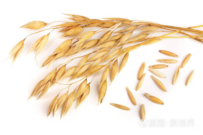 燕麦穗粒白色背景上孤立照片-正版商用图片0d7q4g-摄