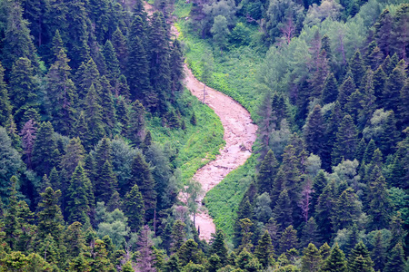 与山地森林景观