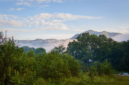 在 Adygea 的常绿森林概述