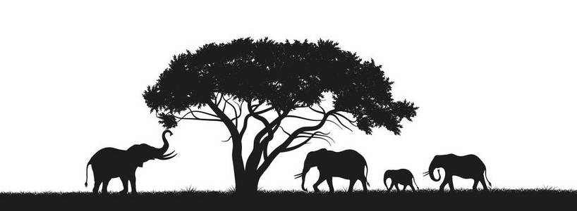 在大草原大象的黑色剪影。非洲的动物。非洲的景观。野性的全景