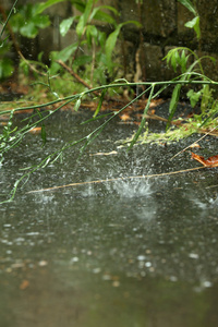 在户外雨天水坑