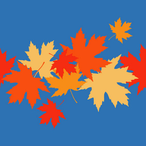无缝模式与秋枫树叶子。金色的秋天。平面设计。纺织融洽