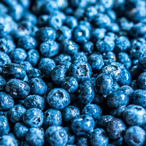 新鲜的蓝莓的特写