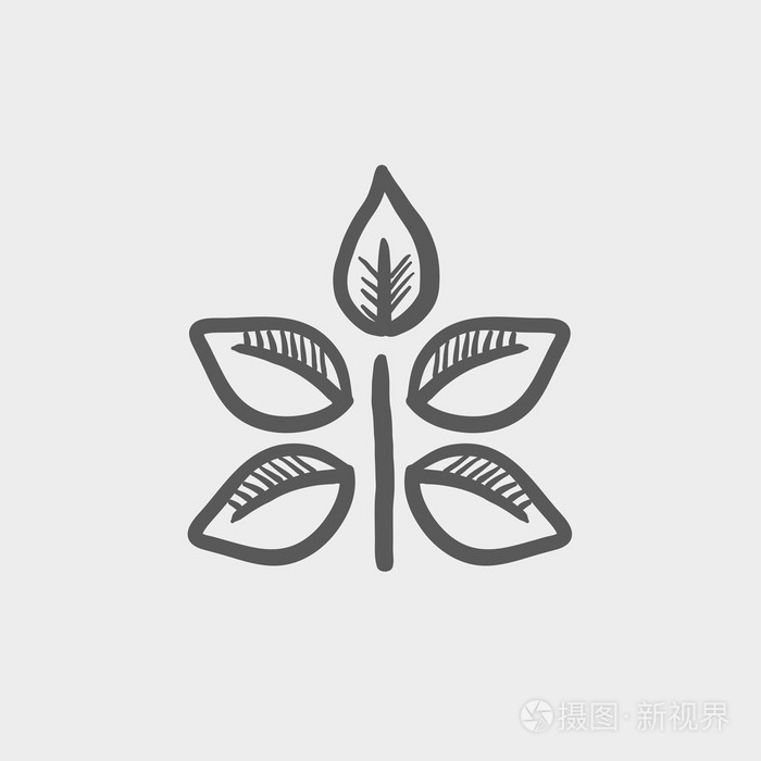 新鲜的叶子细线图标插画-正版商用图片0dd280-摄图新