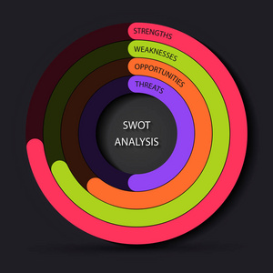 Swot 分析循环进度栏项目管理模板