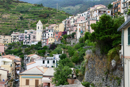 Manarola 村上五渔村