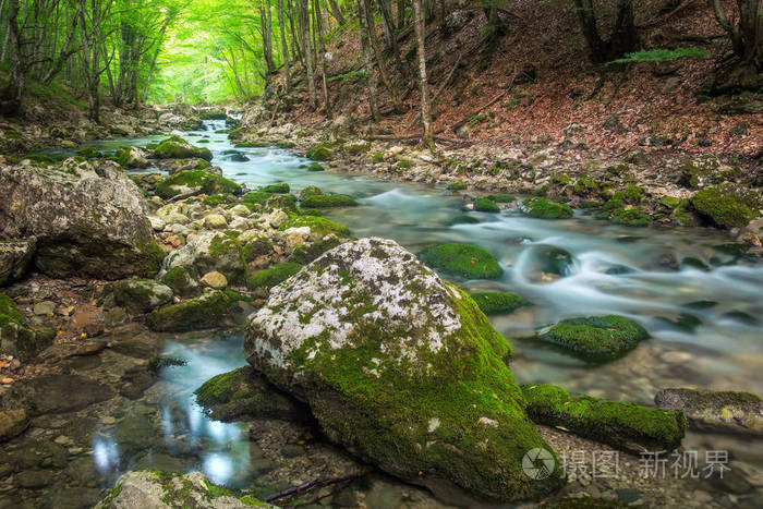 山区河流在森林和山的地形