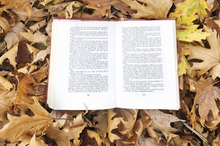 秋天的树叶与书