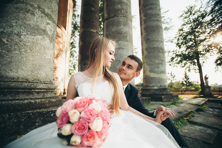 美丽浪漫新婚夫妇的新婚夫妇拥抱在旧城堡附近