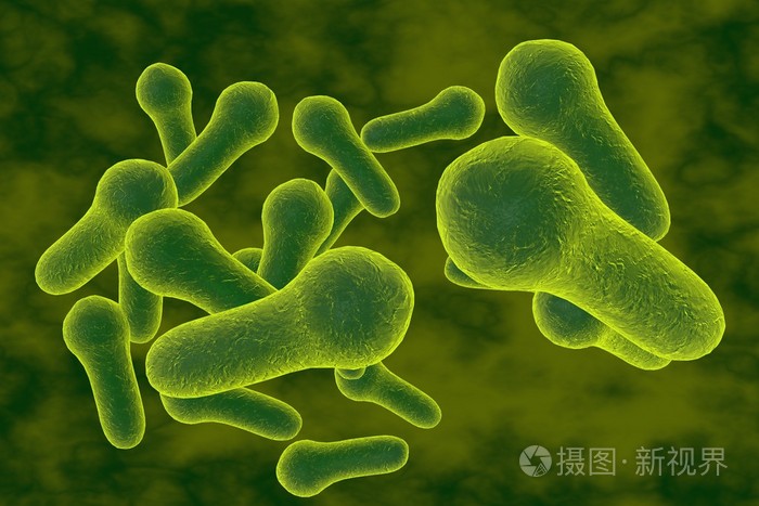 细菌破伤风梭菌检查或其他梭状芽胞杆菌