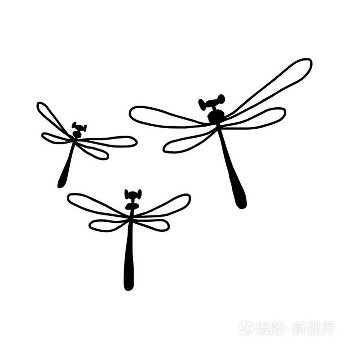 三种蜻蜓-矢量图草图手绘与孤立的白色背景上的黑色线条