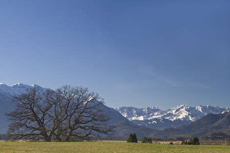 Murnar 沼地