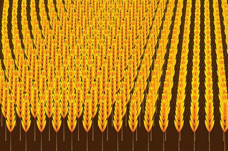 金颗粒的谷物在棕色背景图片